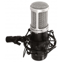 Electret microphone ECM-170